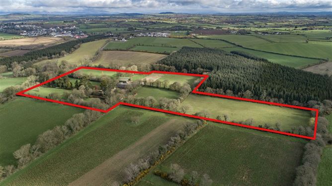 Ozier Hil, Taghmon, Wexford