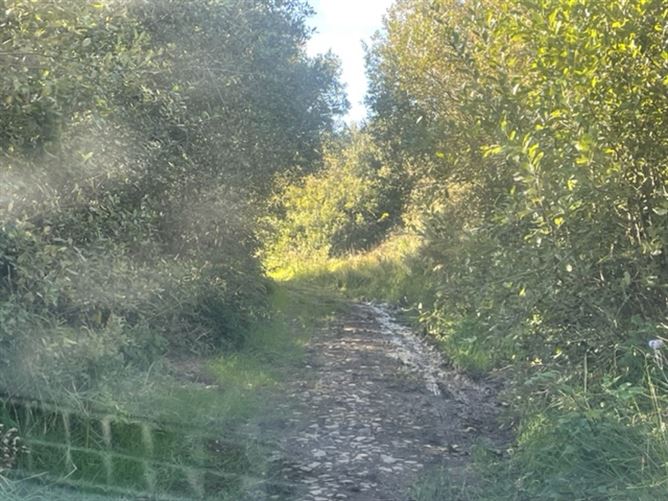 Carrowmonagh, Kilshanny, Clare