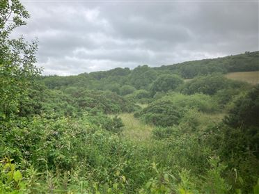 Image for 6.94 Acres At Ballysallagh, Hacketstown, Co. Carlow