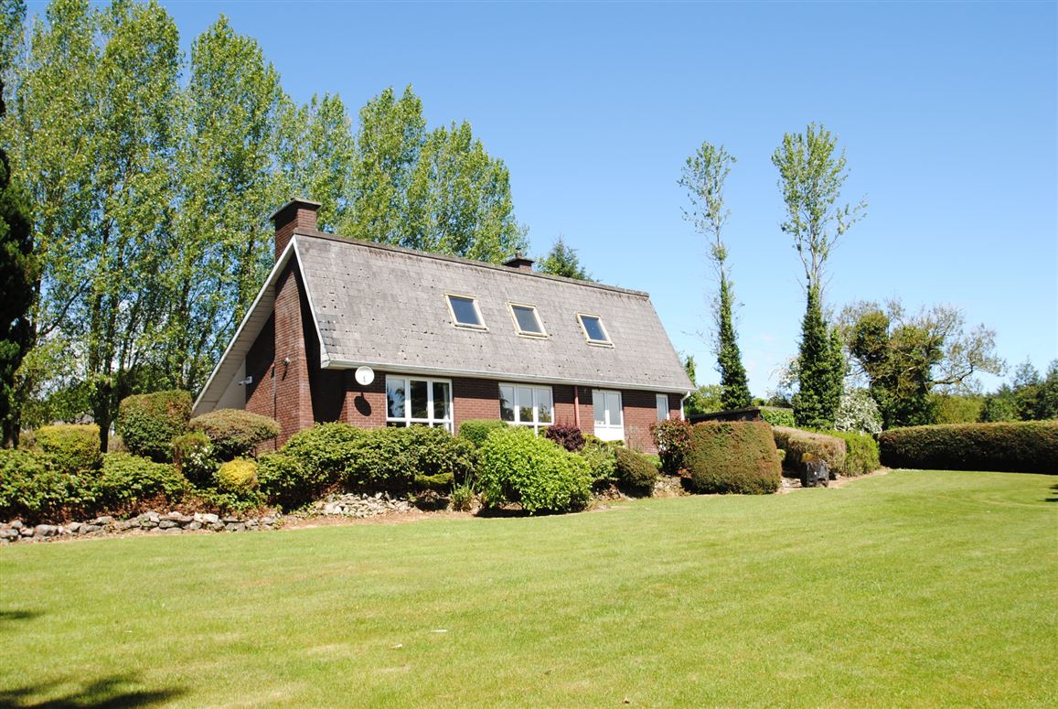 Carraigaun, Ballaghmore, Borris-In-Ossory, Co. Laois