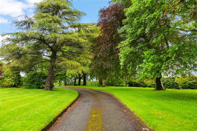 Photo 19 of 26 — Cedar Lodge, Porchavodda, Hacketstown, County Carlow