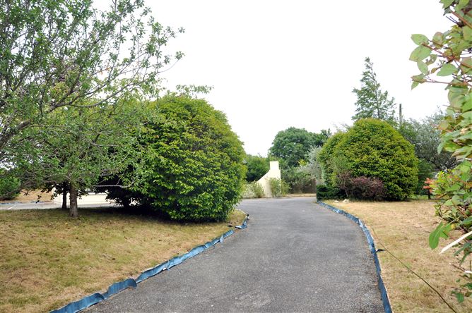 Scaughmolin, Murrintown, Wexford