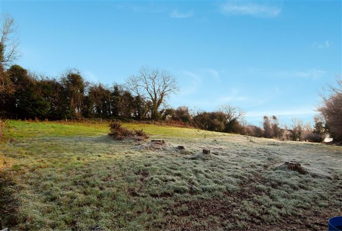 Sweet Briar, Toberpatrick, Tinahely, Wicklow