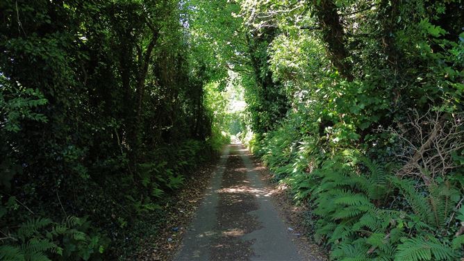 'Highbury', Tinnock Upper, Gorey, Wexford