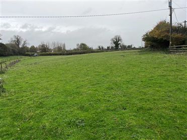 Image for Approx 25 Acres At Rathfeigh, Tara, County Meath