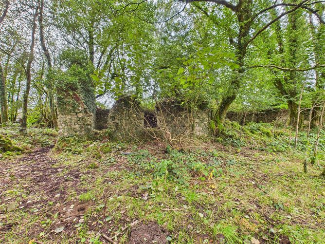 Lavagh, Rooskey, Co. Roscommon
