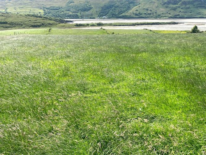 Crannogeboy, Loughros Point, Ardara, Co. Donegal
