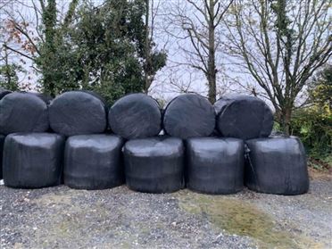40 Round Bales Of Silage, Nenagh, Tipperary
