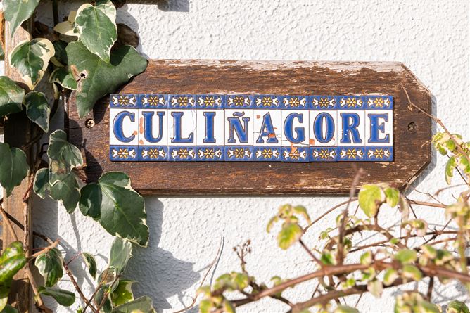 Cullinagore, Galway Rd., Athlone. 