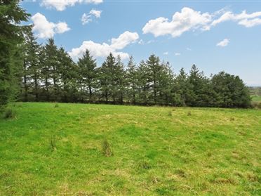 Image for Clashykinleen West, Kiskeam, Mallow, Co. Cork, 10 Acres