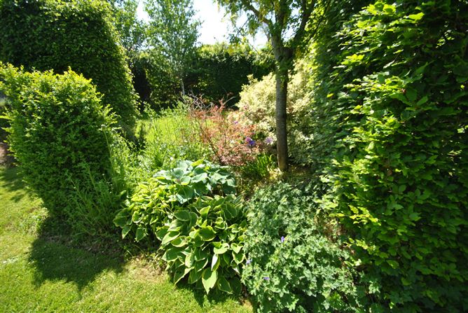 Derrinclare, Shinrone, Birr, Co. Offaly