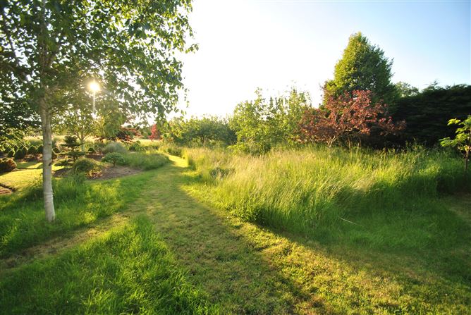Derrinclare, Shinrone, Birr, Co. Offaly