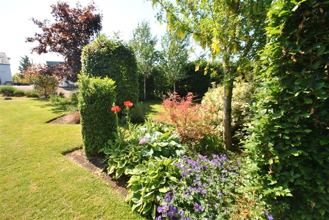 Derrinclare, Shinrone, Birr, Co. Offaly