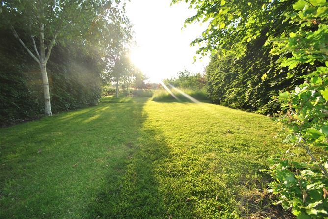 Derrinclare, Shinrone, Birr, Co. Offaly