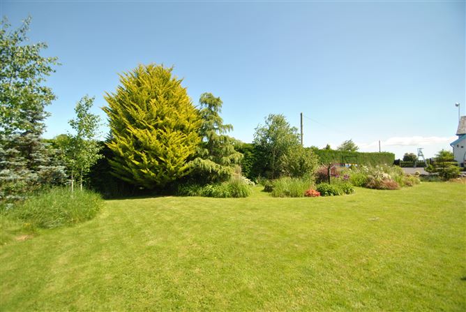 Derrinclare, Shinrone, Birr, Co. Offaly