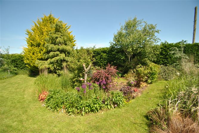 Derrinclare, Shinrone, Birr, Co. Offaly