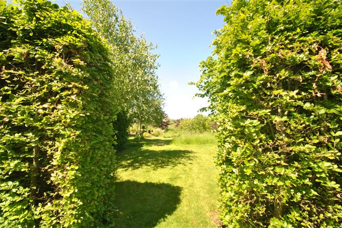 Derrinclare, Shinrone, Birr, Co. Offaly