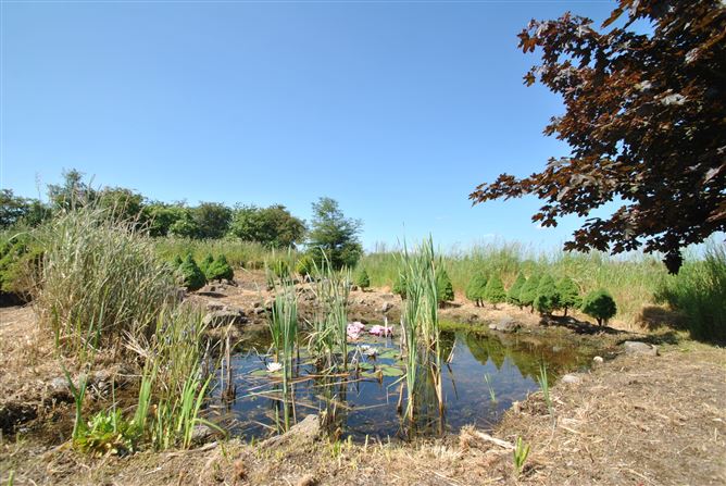 Derrinclare, Shinrone, Birr, Co. Offaly