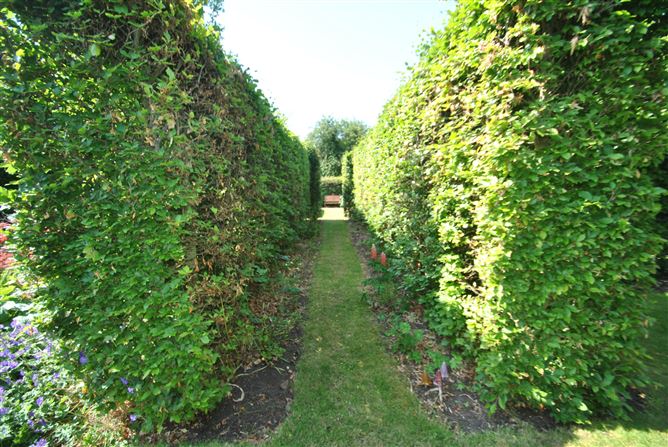 Derrinclare, Shinrone, Birr, Co. Offaly