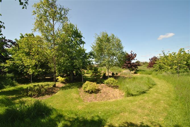 Derrinclare, Shinrone, Birr, Co. Offaly