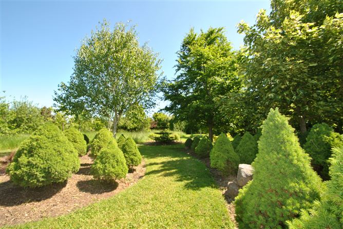 Derrinclare, Shinrone, Birr, Co. Offaly