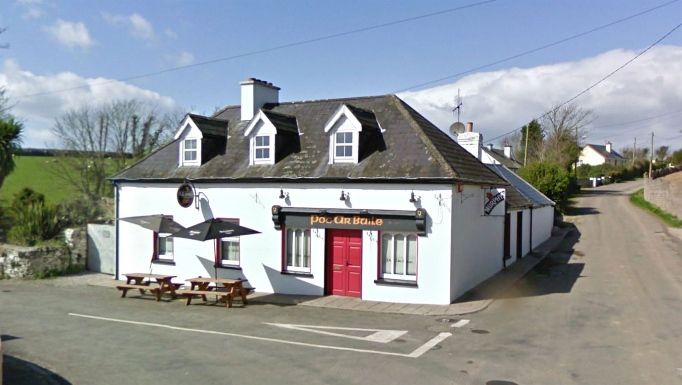 An Poc Ar Buile, Ballinrostig, Whitegate, Co. Cork