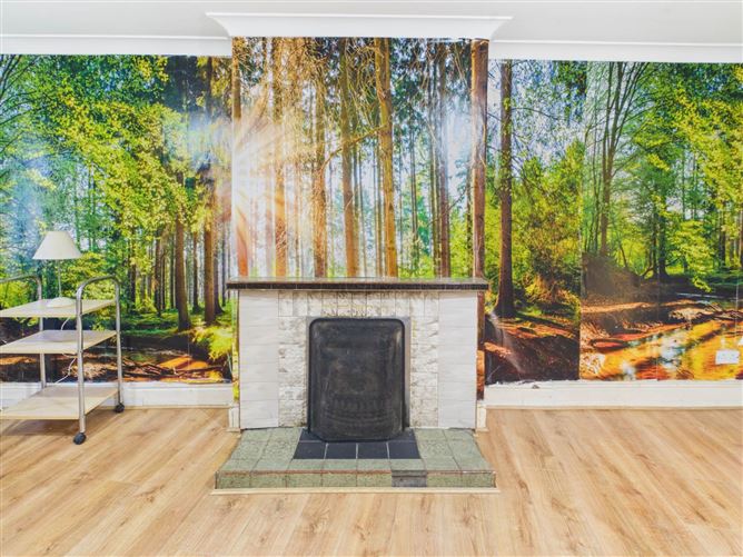 16 Woodstock Street, Athy, County Kildare