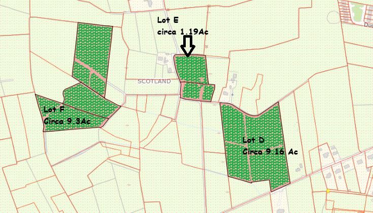 Scotland, Glenamaddy, Galway