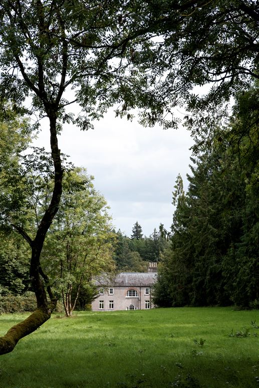 Enchanting Chieftains Castle, Dysart Woods, Co. Cork, Cork