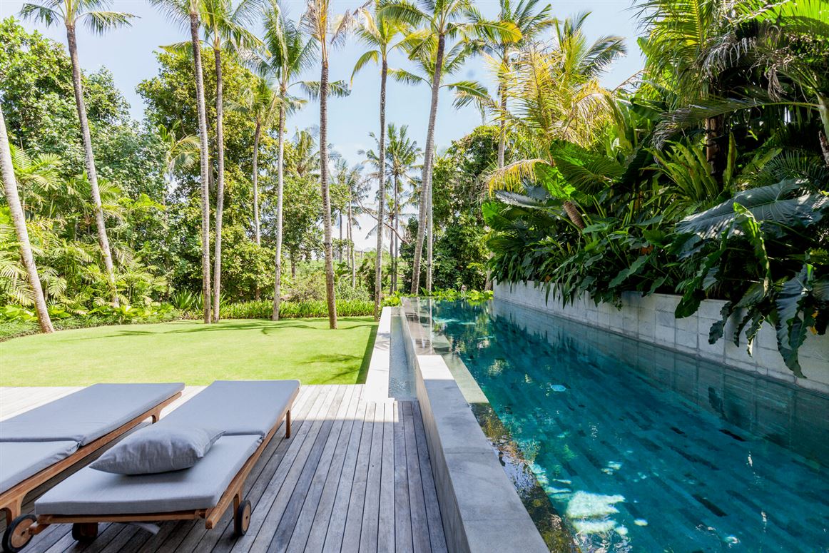 The Morning Dreamer,Mengwi,Bali,Indonesia