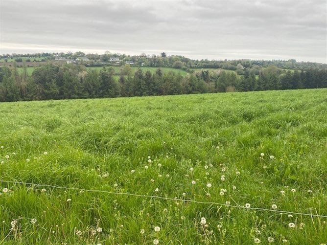 Site B At Ballyminane Mills, Enniscorthy, Co. Wexford