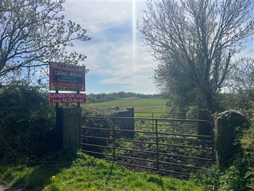 Pollnabanny, Athenry, Co.Galway