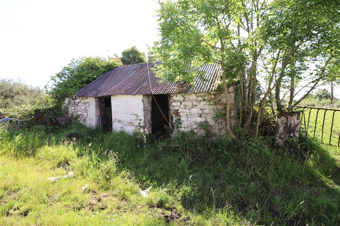Coppanagh, Virginia, Cavan