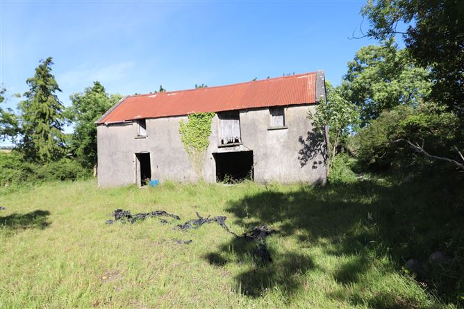 Coppanagh, Virginia, Cavan