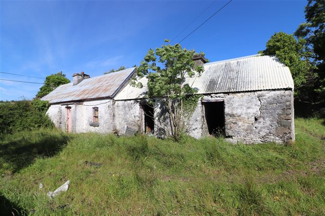 Coppanagh, Virginia, Cavan