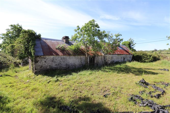 Coppanagh, Virginia, Cavan
