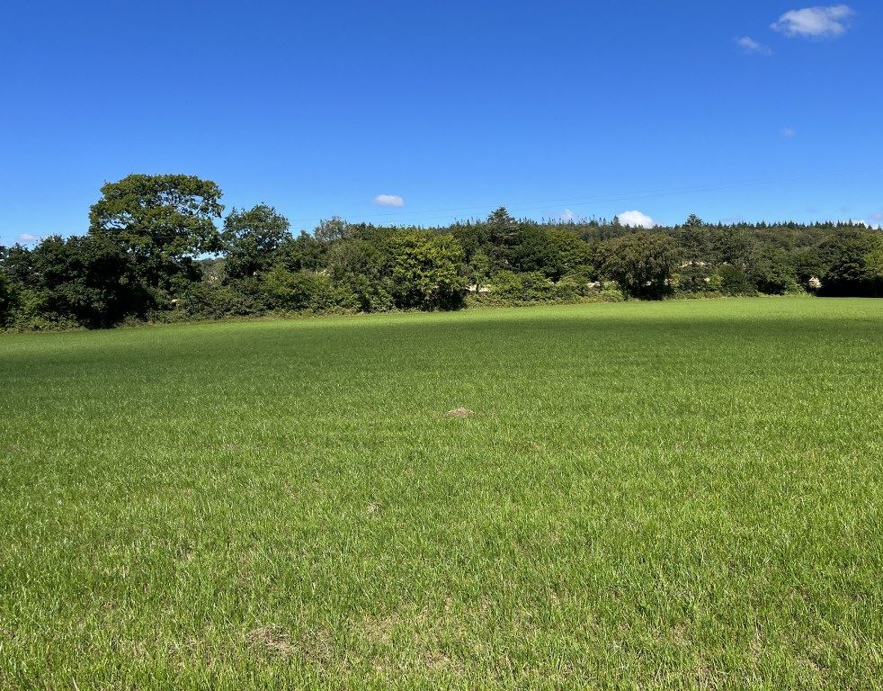 Knockmore, Caim, Enniscorthy, Wexford