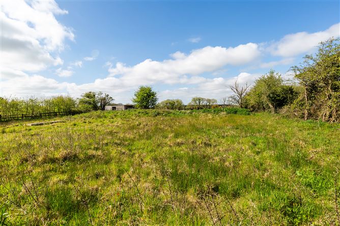 Youngstown, Taghmon, Co Wexford, Taghmon, Wexford