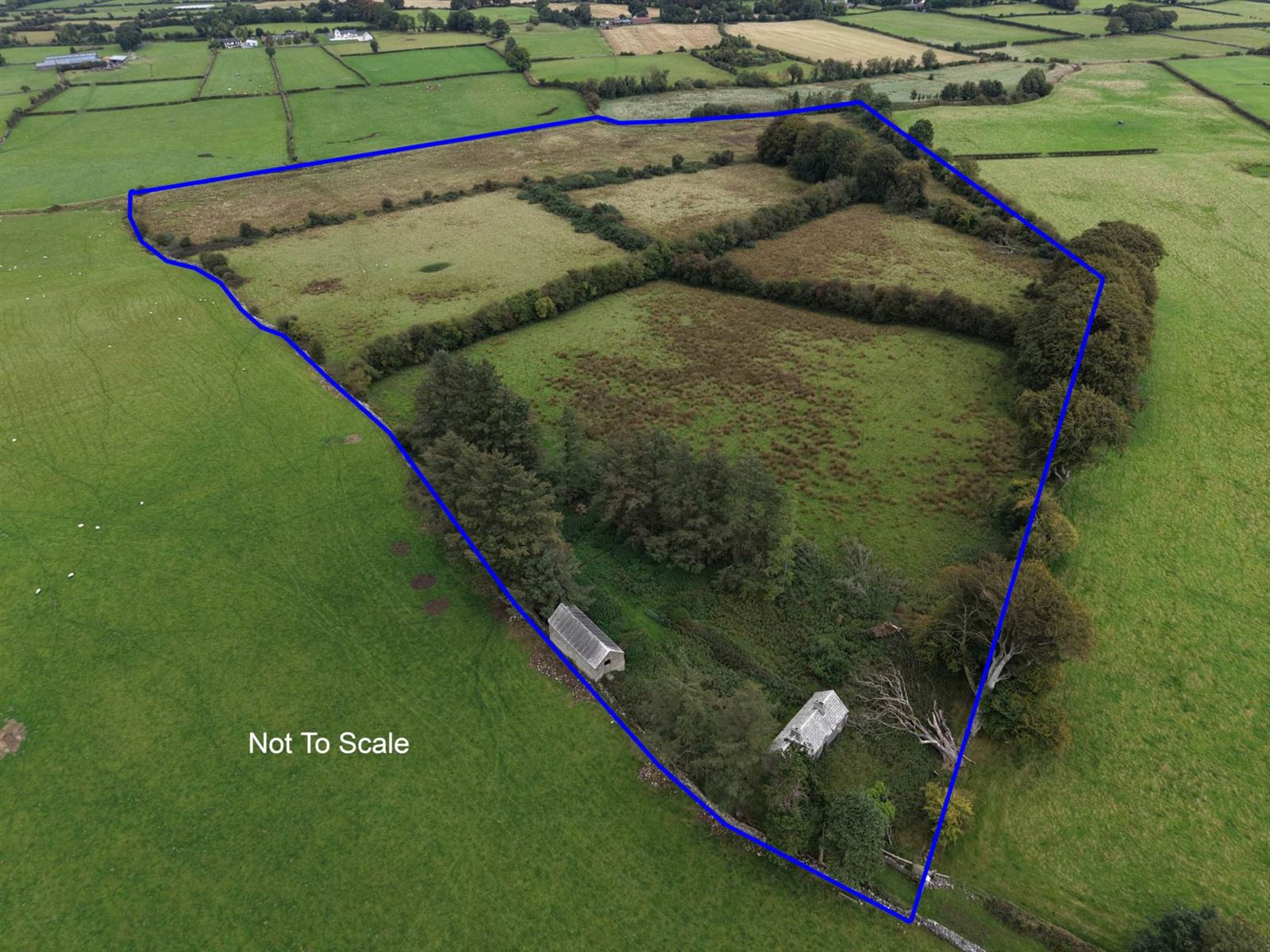Derelict Residence & Granary On C. 28.02 Acres, Kilcar, Curraghboy, County Roscommon