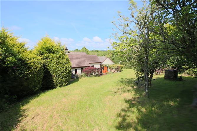 Carrick Road, Drumshanbo, Co. Leitrim