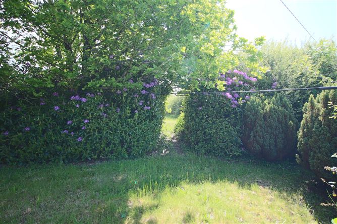 Carrick Road, Drumshanbo, Co. Leitrim