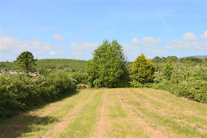 Carrick Road, Drumshanbo, Co. Leitrim