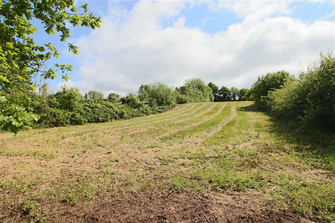 Carrick Road, Drumshanbo, Co. Leitrim