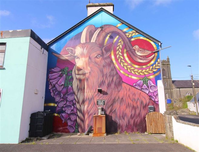 Main Street, Upper, Foxford, Mayo