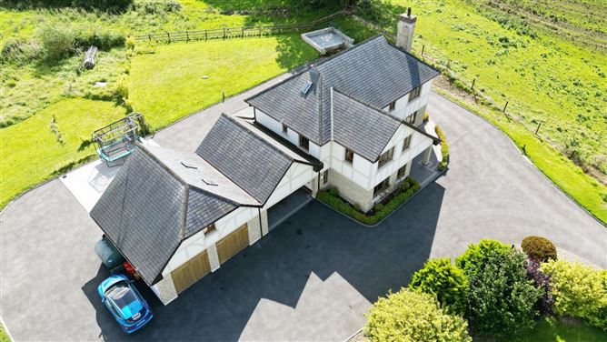 Roebuck, Mountnugent, Co. Cavan
