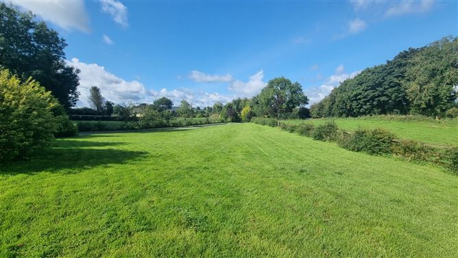 Roebuck, Mountnugent, Co. Cavan