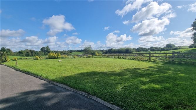 Roebuck, Mountnugent, Co. Cavan