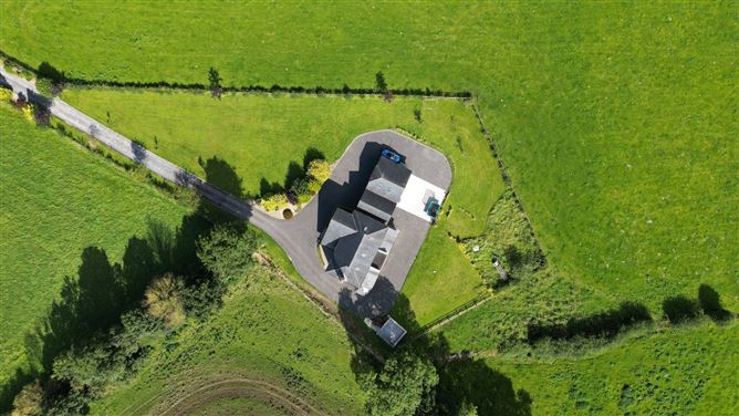 Roebuck, Mountnugent, Co. Cavan