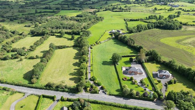 Roebuck, Mountnugent, Co. Cavan