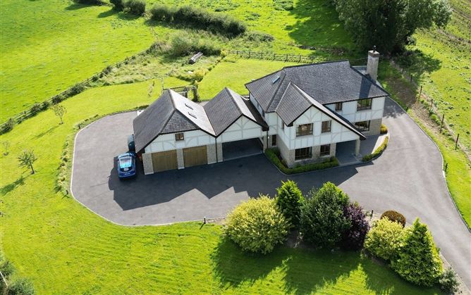 Roebuck, Mountnugent, Co. Cavan